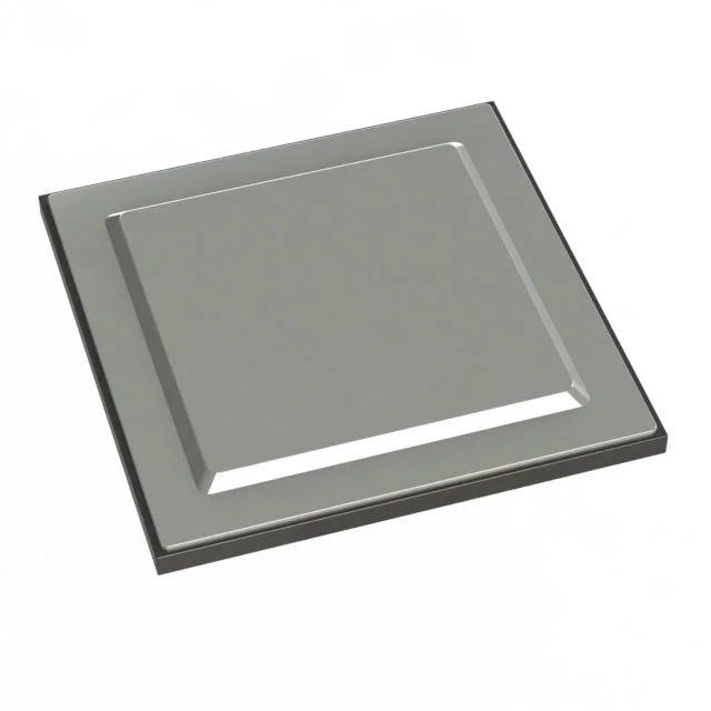 WP3161W6NFEI-320B1 Microchip