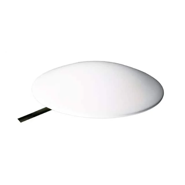 RI.02.01.3000W Taoglas