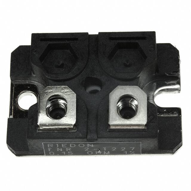 FNR2E-0R15F1 Riedon