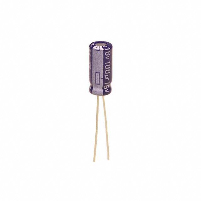 ECA-1CM101B Panasonic Electronic Components