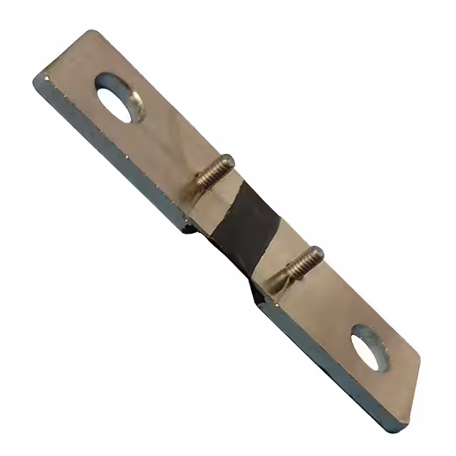 RCS2-0R0002F1 Riedon