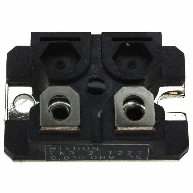 FNR2E-0R015F1 Riedon